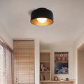 Metal Ceiling Light Fixture-Lighting > Ceiling Lights-casanuva-casanuva