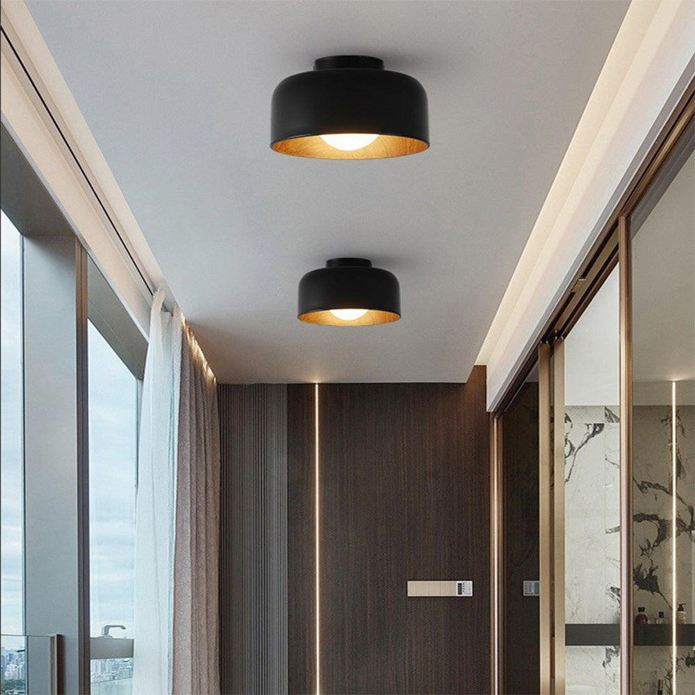 Metal Ceiling Light Fixture-Lighting > Ceiling Lights-casanuva-Black-D22*H13CM-1 Piece-casanuva
