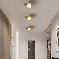 Minimalist Ceiling Light Fixture for Modern Entrances-Lighting > Ceiling Lights-casanuva-casanuva