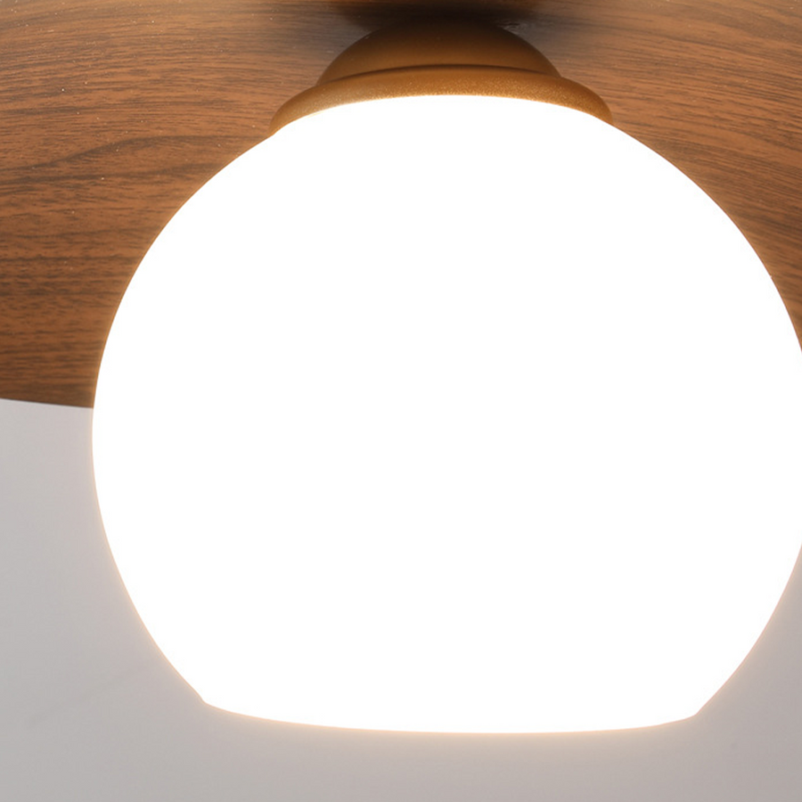 Minimalist Ceiling Light Fixture for Modern Entrances-Lighting > Ceiling Lights-casanuva-casanuva