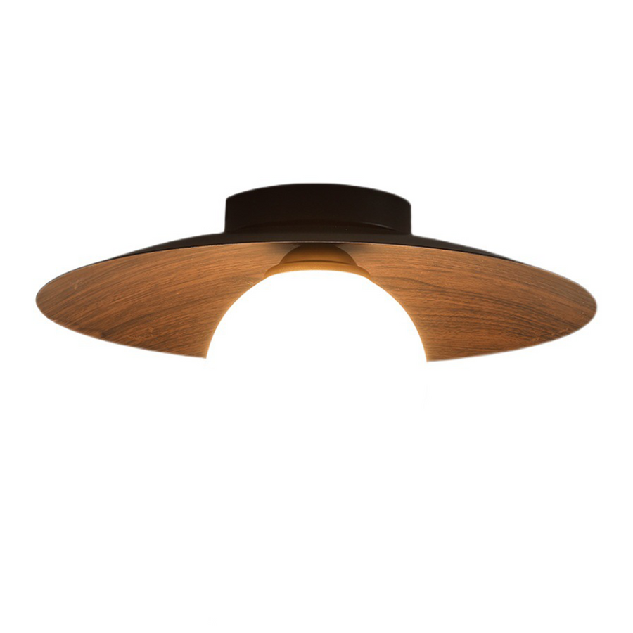 Minimalist Ceiling Light Fixture for Modern Entrances-Lighting > Ceiling Lights-casanuva-casanuva