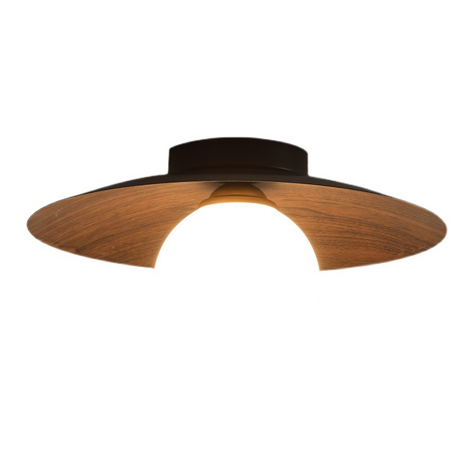 Minimalist Ceiling Light Fixture for Modern Entrances-Lighting > Ceiling Lights-casanuva-casanuva