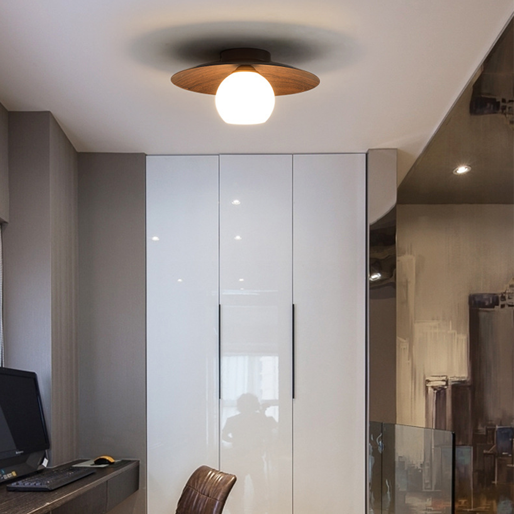 Minimalist Ceiling Light Fixture for Modern Entrances-Lighting > Ceiling Lights-casanuva-casanuva