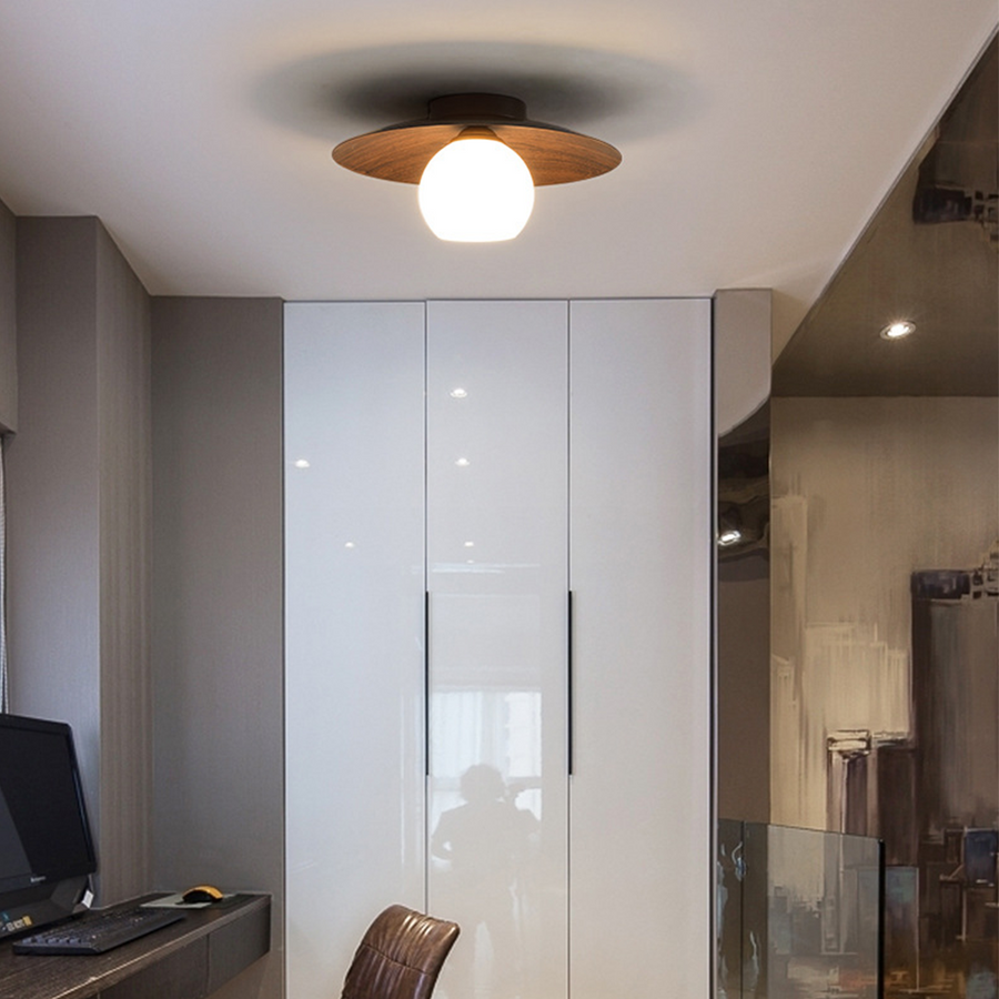 Minimalist Ceiling Light Fixture for Modern Entrances-Lighting > Ceiling Lights-casanuva-casanuva
