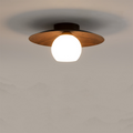 Minimalist Ceiling Light Fixture for Modern Entrances-Lighting > Ceiling Lights-casanuva-D13.77''*H6.29''/D35CM*H1-A-casanuva