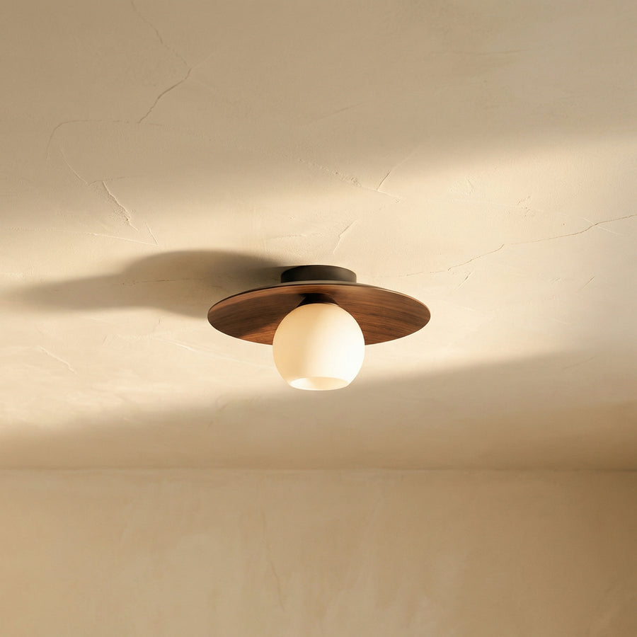 Minimalist Ceiling Light Fixture for Modern Entrances-Lighting > Ceiling Lights-casanuva-casanuva