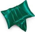 Mulberry Silk Pillowcase Skin Recovery Twin Pack-Bedding & Bath > Pillowcases-casanuva-Standard (20"x26")-Forest Green-casanuva