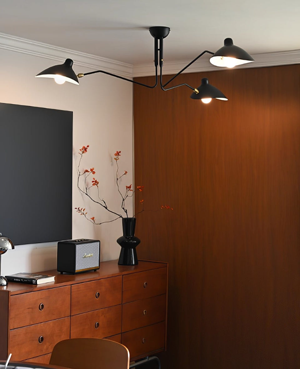 Multi-Arm Spider Ceiling Light Fixture-Lighting > Ceiling Lights-casanuva-casanuva