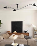 Multi-Arm Spider Ceiling Light Fixture-Lighting > Ceiling Lights-casanuva-casanuva