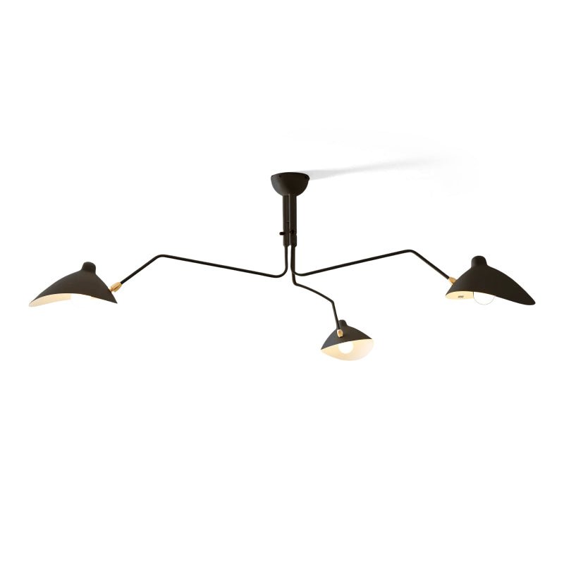Multi-Arm Spider Ceiling Light Fixture-Lighting > Ceiling Lights-casanuva-150cmx32cm-Black-casanuva