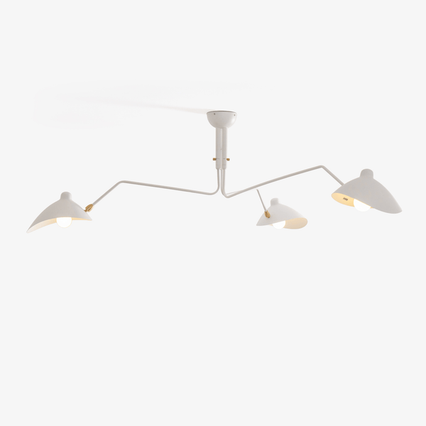 Multi-Arm Spider Ceiling Light Fixture-Lighting > Ceiling Lights-casanuva-casanuva