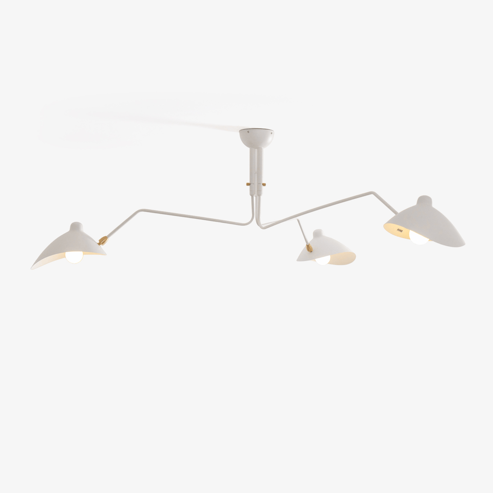 Multi-Arm Spider Ceiling Light Fixture-Lighting > Ceiling Lights-casanuva-casanuva