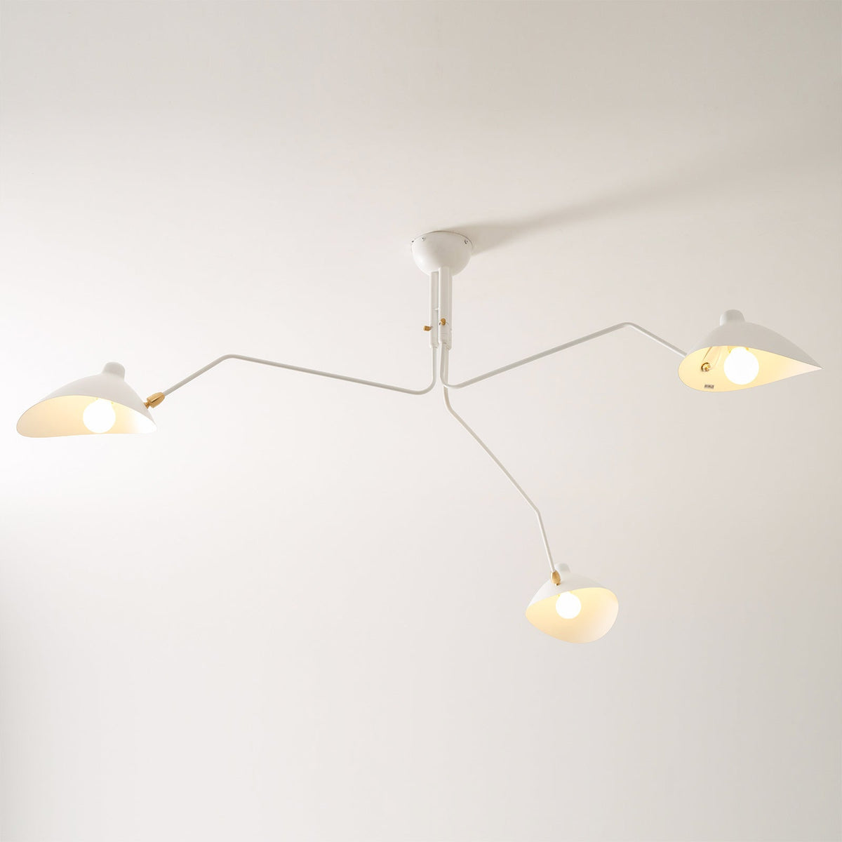 Multi-Arm Spider Ceiling Light Fixture-Lighting > Ceiling Lights-casanuva-casanuva