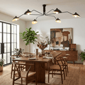Multi-Arm Spider Ceiling Light Fixture-Lighting > Ceiling Lights-casanuva-casanuva