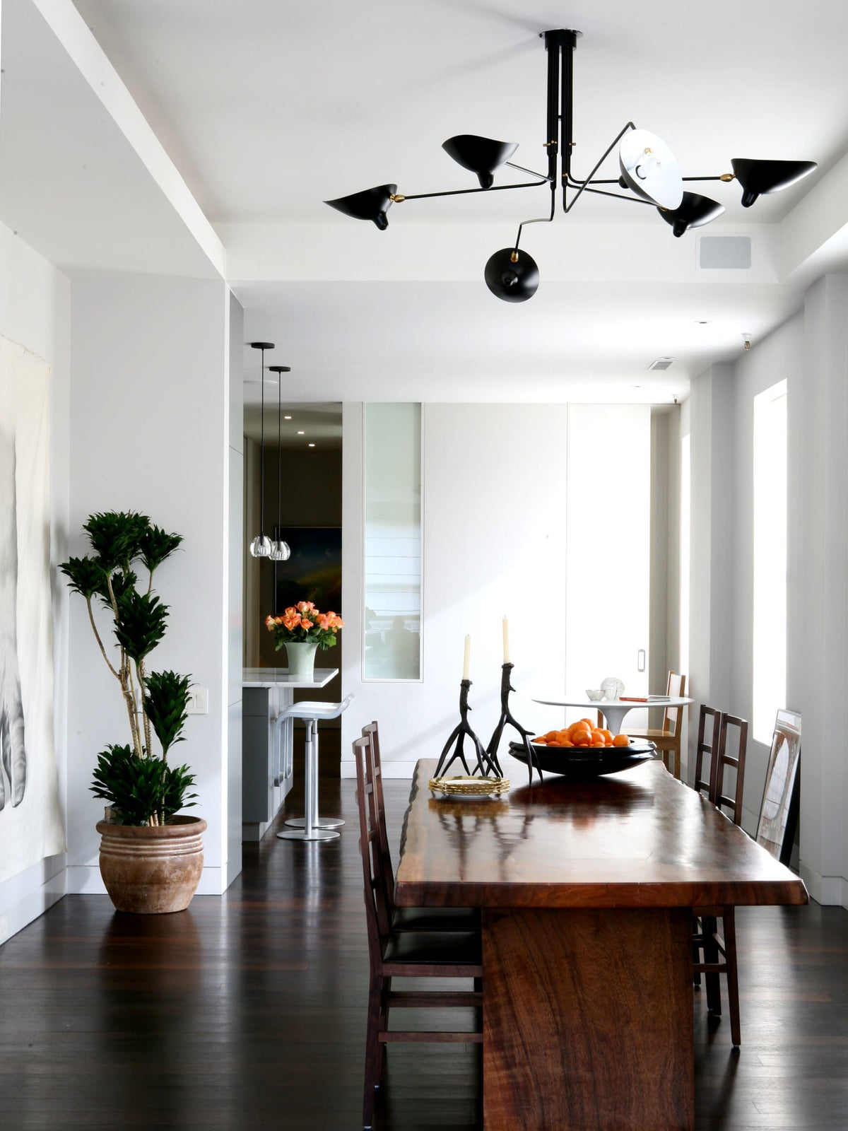 Multi-Arm Spider Ceiling Light Fixture-Lighting > Ceiling Lights-casanuva-casanuva