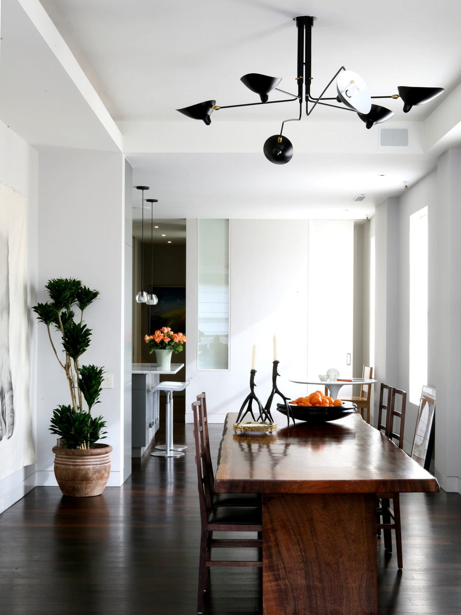 Multi-Arm Spider Ceiling Light Fixture-Lighting > Ceiling Lights-casanuva-casanuva