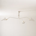 Multi-Arm Spider Ceiling Light Fixture-Lighting > Ceiling Lights-casanuva-casanuva