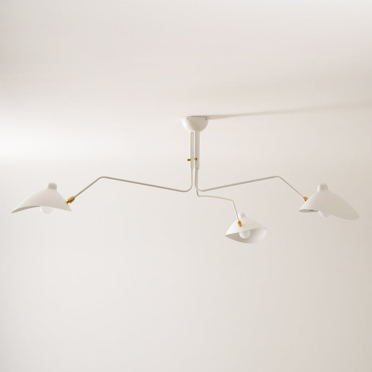 Multi-Arm Spider Ceiling Light Fixture-Lighting > Ceiling Lights-casanuva-casanuva