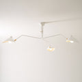 Multi-Arm Spider Ceiling Light Fixture-Lighting > Ceiling Lights-casanuva-casanuva