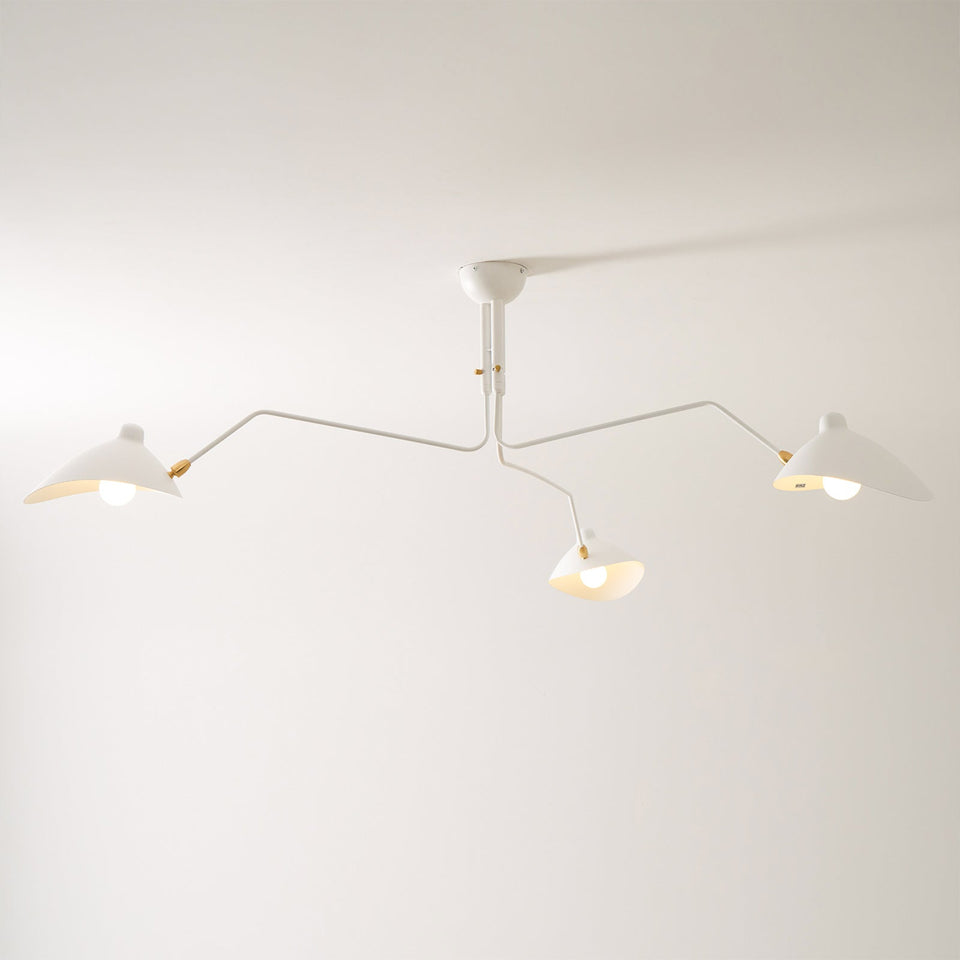 Multi-Arm Spider Ceiling Light Fixture-Lighting > Ceiling Lights-casanuva-casanuva