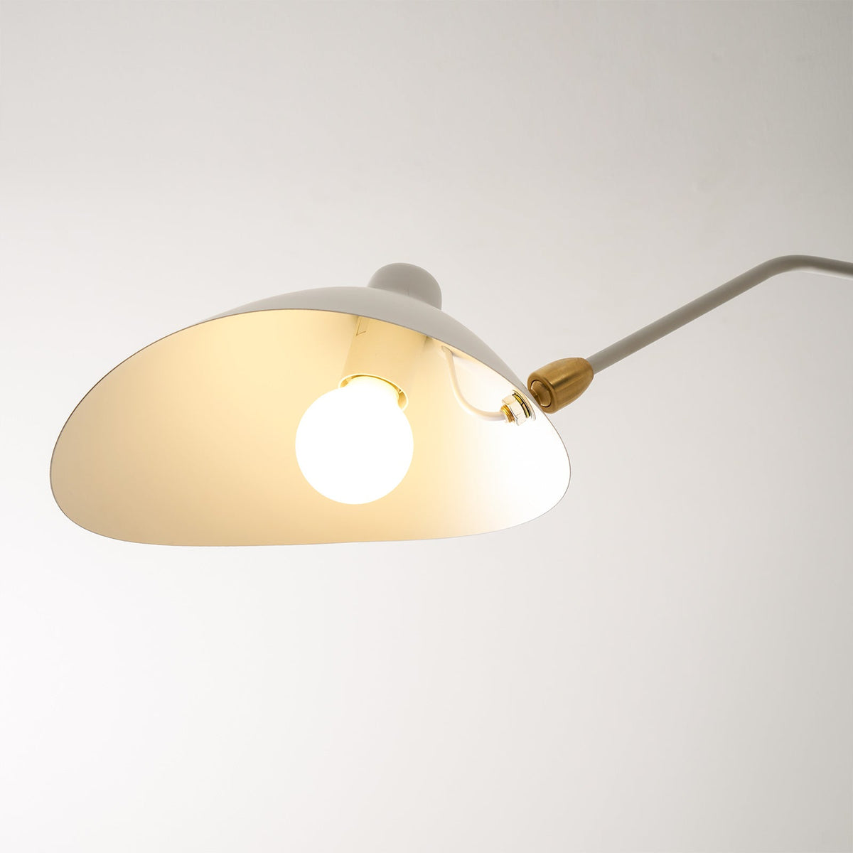 Multi-Arm Spider Ceiling Light Fixture-Lighting > Ceiling Lights-casanuva-casanuva