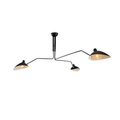 Multi-Arm Spider Ceiling Light Fixture-Lighting > Ceiling Lights-casanuva-casanuva
