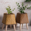Natural Plant Pot Lightweight Plastic for Indoor and Outdoor Use-Home Decor > Decorative Accessories-casanuva-casanuva