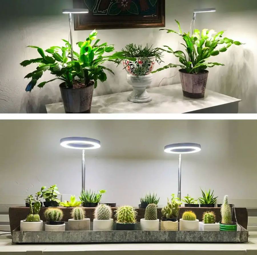 Plant Lamp Full Spectrum Adjustable Stand-Lighting > Table Lamps-casanuva-casanuva