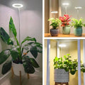 Plant Lamp Full Spectrum Adjustable Stand-Lighting > Table Lamps-casanuva-casanuva