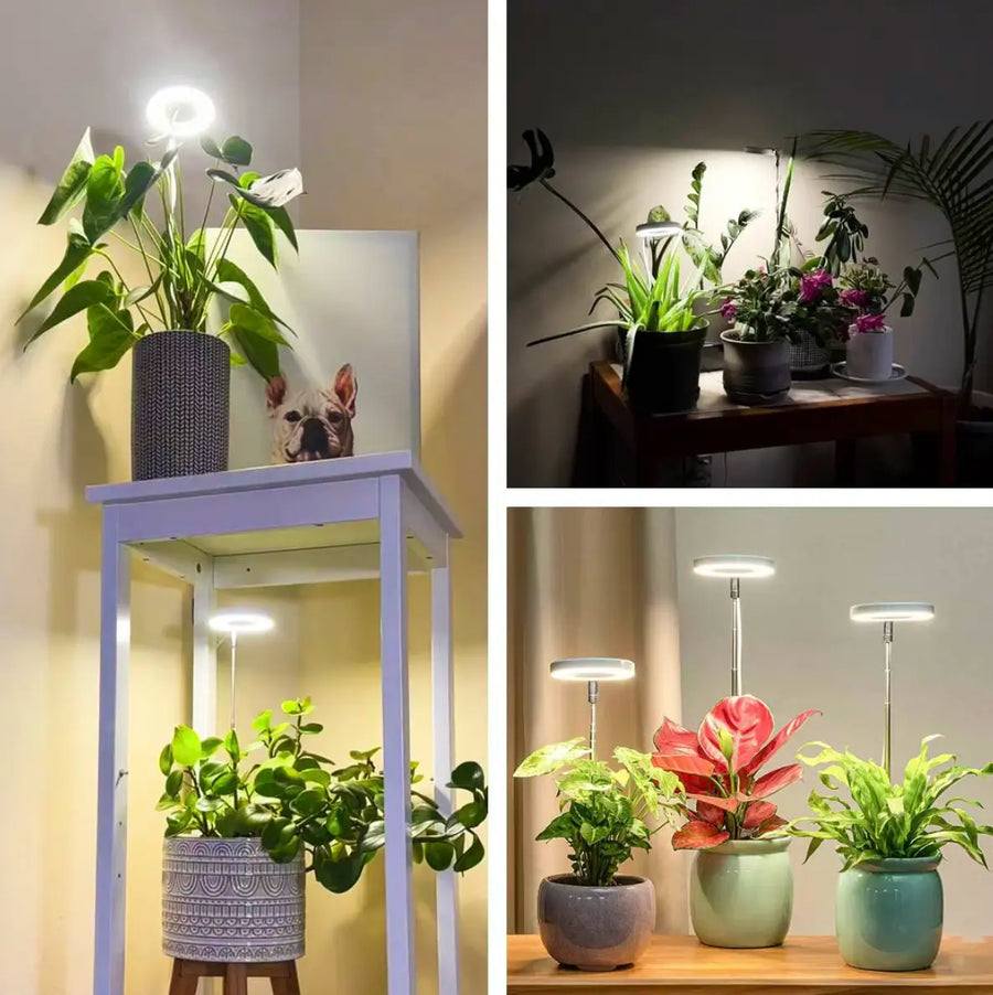 Plant Lamp Full Spectrum Adjustable Stand-Lighting > Table Lamps-casanuva-casanuva
