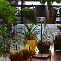 Portable Wireless LED Table Lamp-Lighting > Table Lamps-casanuva-casanuva