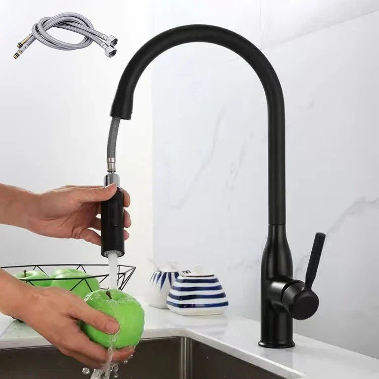 Pull-Out Kitchen Faucet with Hand Shower-Kitchen & Dining > Kitchen Faucets-casanuva-Black with hose-casanuva