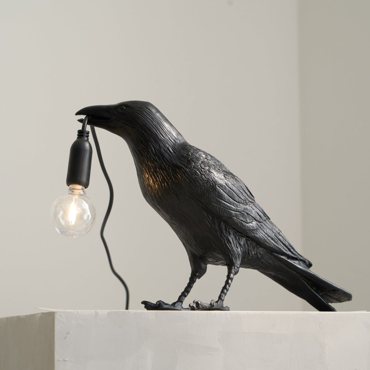Resin Table Lamp with Raven Design-Lighting > Table Lamps-casanuva-casanuva