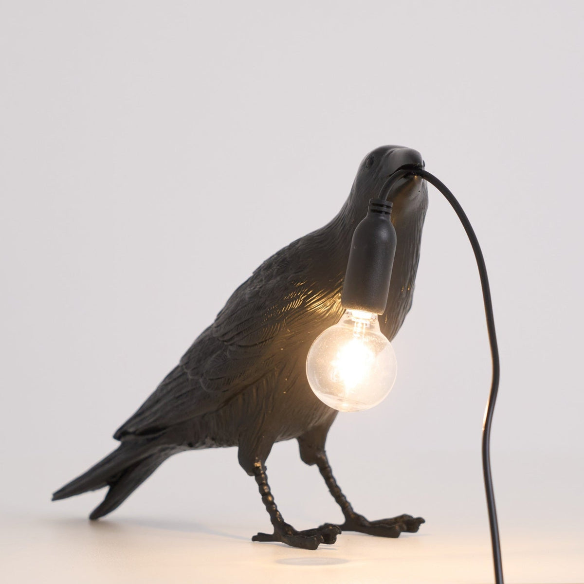 Resin Table Lamp with Raven Design-Lighting > Table Lamps-casanuva-casanuva