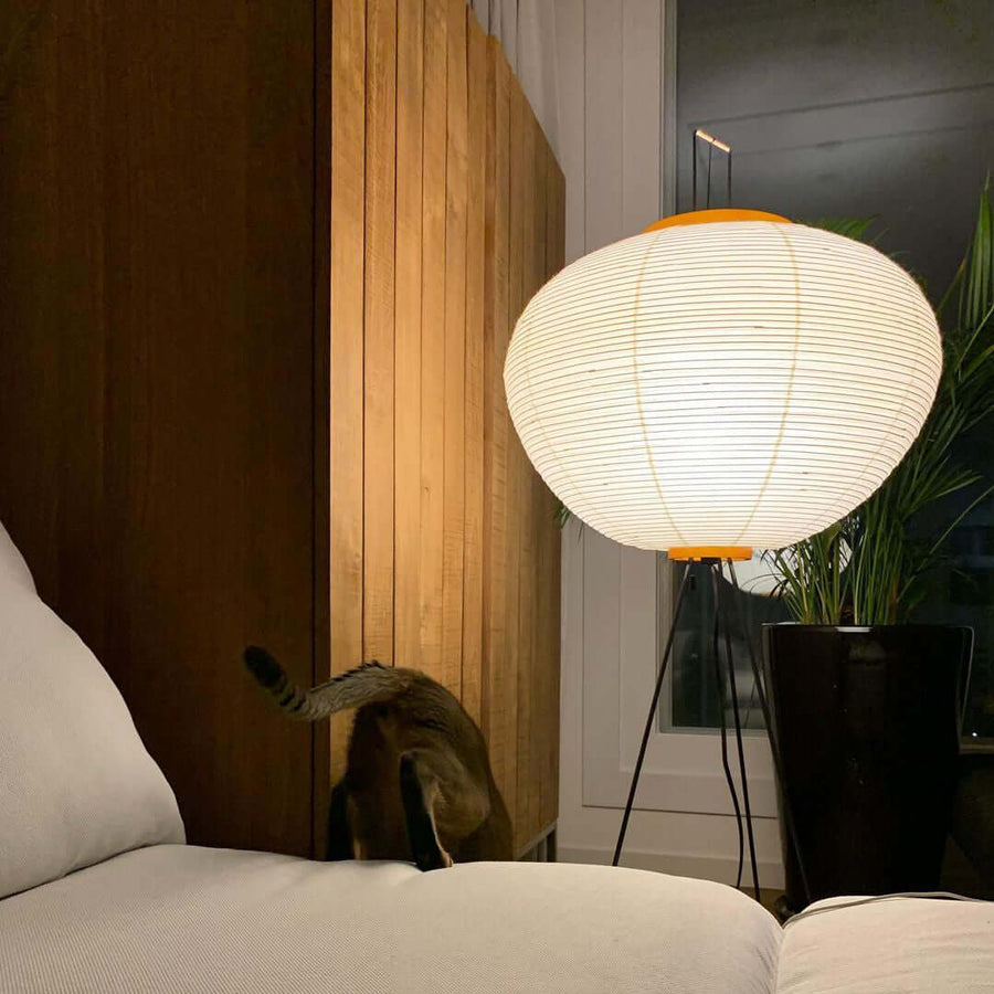 Rice Paper Floor Lamp with Soft Glow Lighting-Lighting > Floor Lamps-casanuva-casanuva