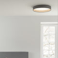 Round Ceiling Lamp Nordic Style-Lighting > Ceiling Lights-casanuva-Gray-Dimmable by remote contro-D40cm*H9cm-casanuva