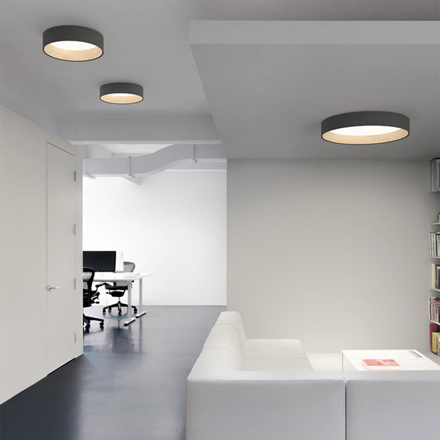 Round Ceiling Lamp Nordic Style-Lighting > Ceiling Lights-casanuva-Gray-Dimmable by remote contro-D50cm*H9cm-casanuva