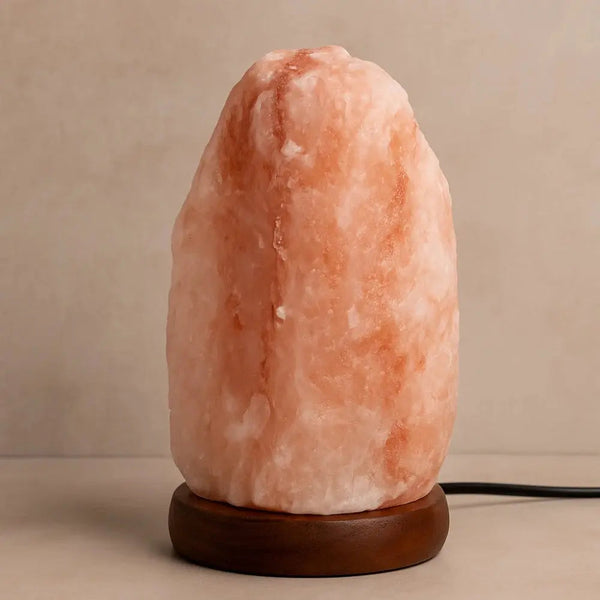 Salt Lamp Shamanic Purification Natural Himalayan Crystal-Lighting > Ambient Lighting-casanuva-casanuva