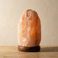 Salt Lamp Shamanic Purification Natural Himalayan Crystal-Lighting > Ambient Lighting-casanuva-casanuva