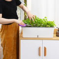 Self-Watering Plant Container for Continuous Moisture Control-Home Decor > Decorative Accessories-casanuva-casanuva