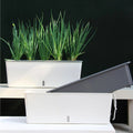 Self-Watering Plant Container for Continuous Moisture Control-Home Decor > Decorative Accessories-casanuva-casanuva