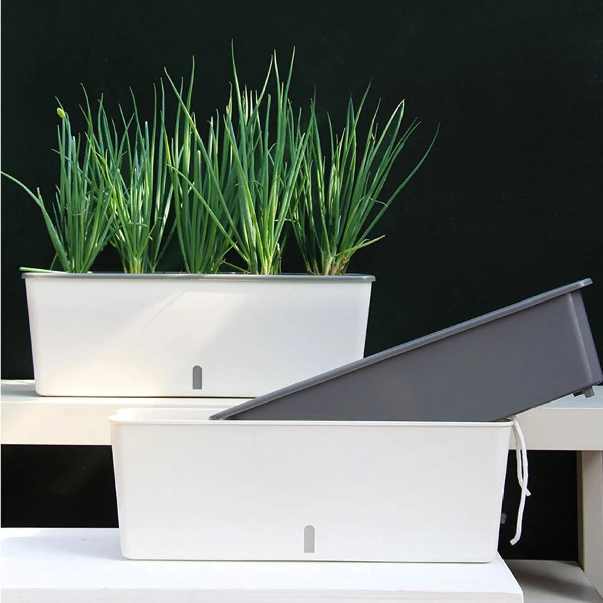 Self-Watering Plant Container for Continuous Moisture Control-Home Decor > Decorative Accessories-casanuva-casanuva