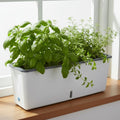 Self-Watering Plant Container for Continuous Moisture Control-Home Decor > Decorative Accessories-casanuva-White-casanuva