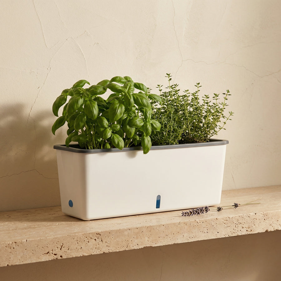 Self-Watering Plant Container for Continuous Moisture Control-Home Decor > Decorative Accessories-casanuva-casanuva