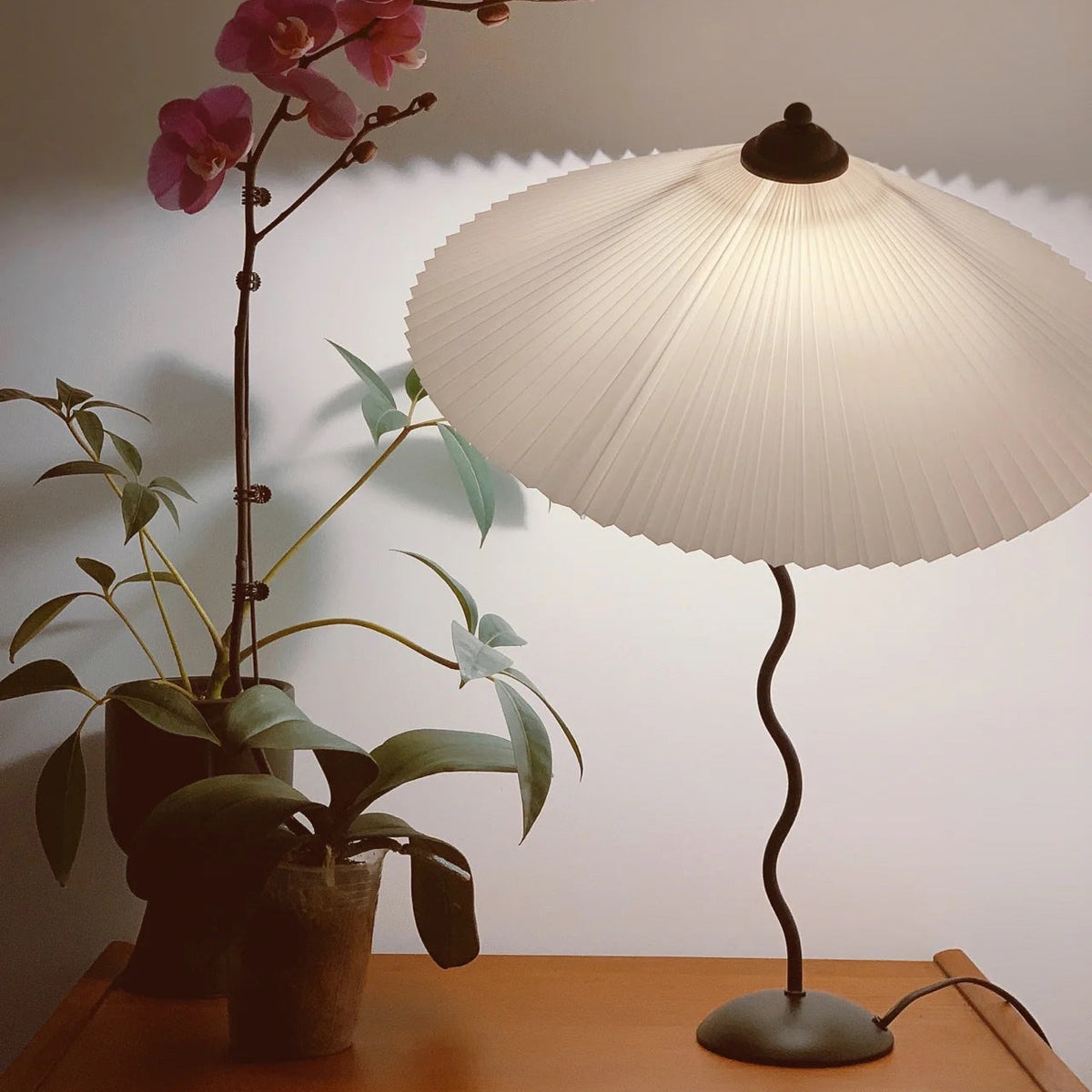 Squiggle Table Lamp with Unique Curved Design-Lighting > Table Lamps-casanuva-casanuva