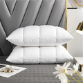 Swandown Pillow Comfortable Sleeping Cushion for Restful Sleep-Bedding & Bath > Pillowcases-casanuva-White-casanuva