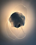 Wall Lamp DC1725-Lighting > Wall Lights-casanuva-casanuva