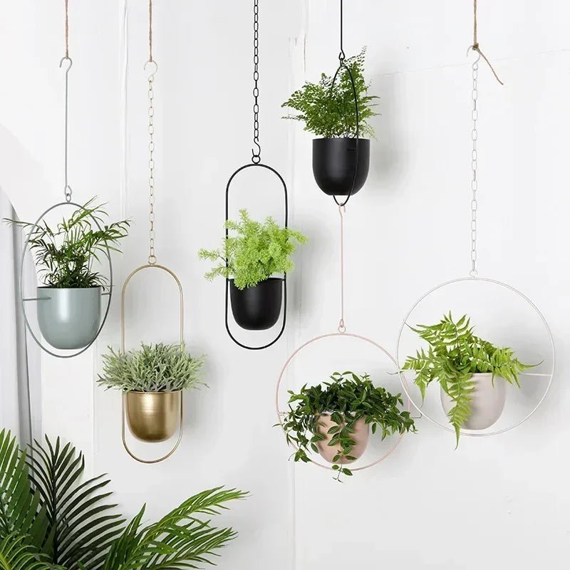 Wall Plant Hanger with Adjustable Chain for Minimalist Interior Design-Home Decor > Decorative Accessories-casanuva-casanuva
