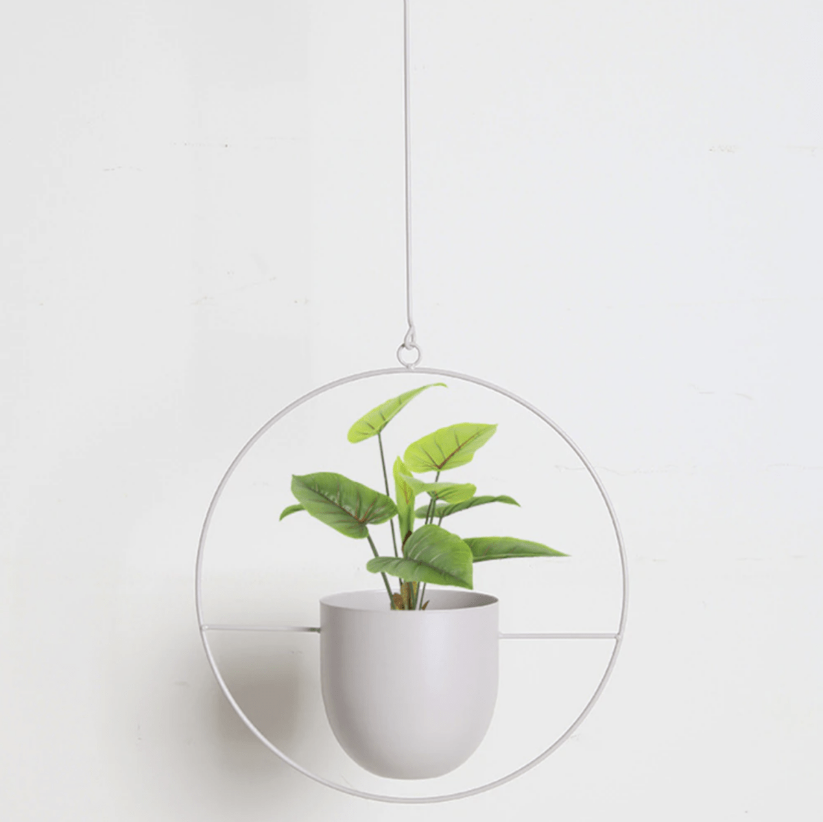 Wall Plant Hanger with Adjustable Chain for Minimalist Interior Design-Home Decor > Decorative Accessories-casanuva-Cream-Circle-casanuva