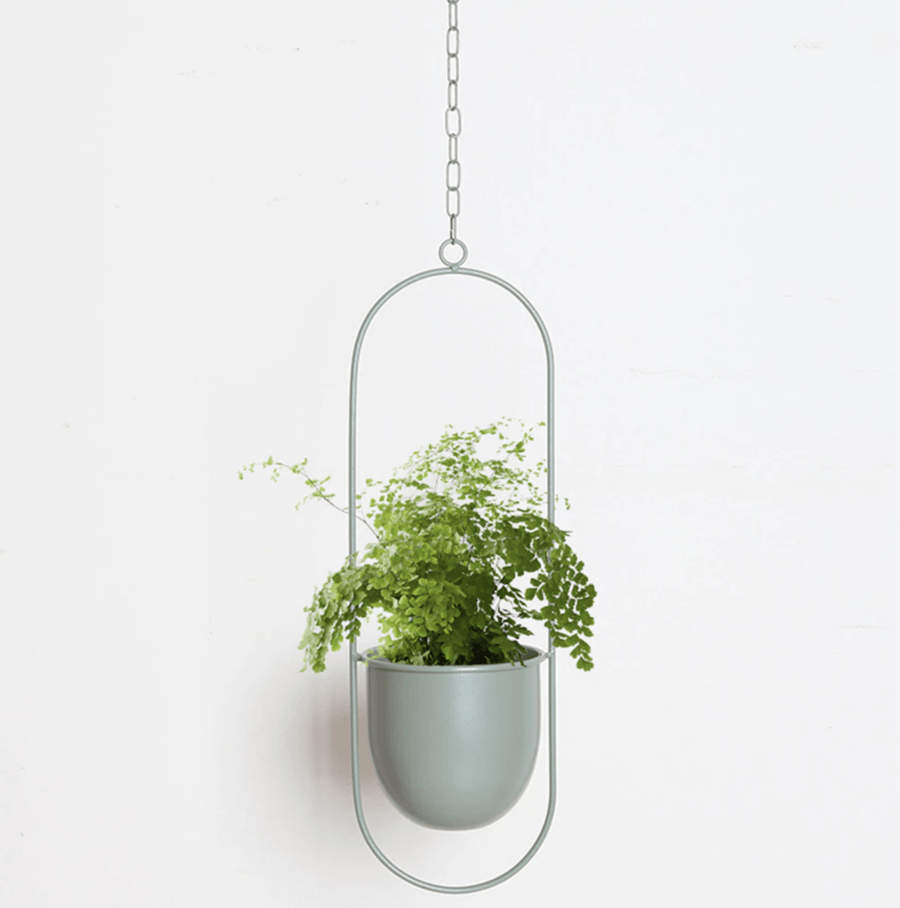 Wall Plant Hanger with Adjustable Chain for Minimalist Interior Design-Home Decor > Decorative Accessories-casanuva-Cream-Oval-casanuva
